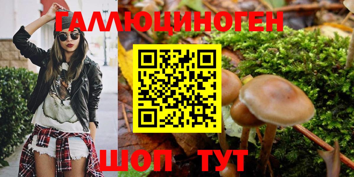 Псилоцибиновые грибы GOLDEN TEACHER Россошь